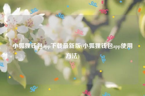 小狐狸钱包app下载最新版(小狐狸钱包app使用方法)